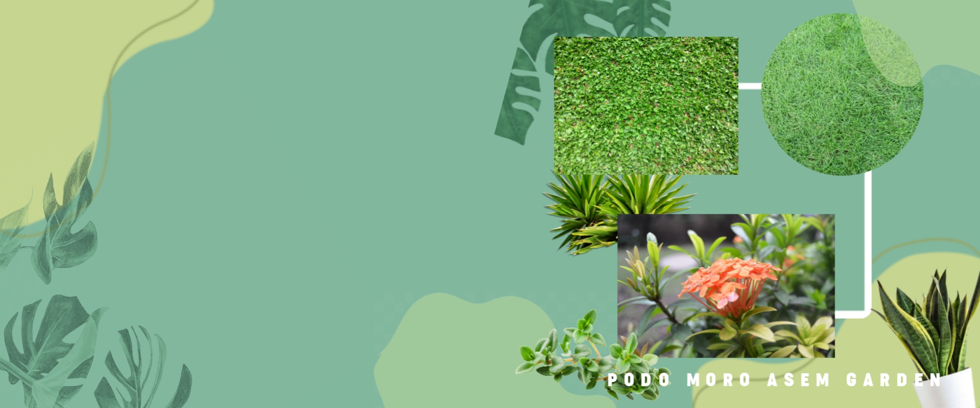 new fashion summer sale