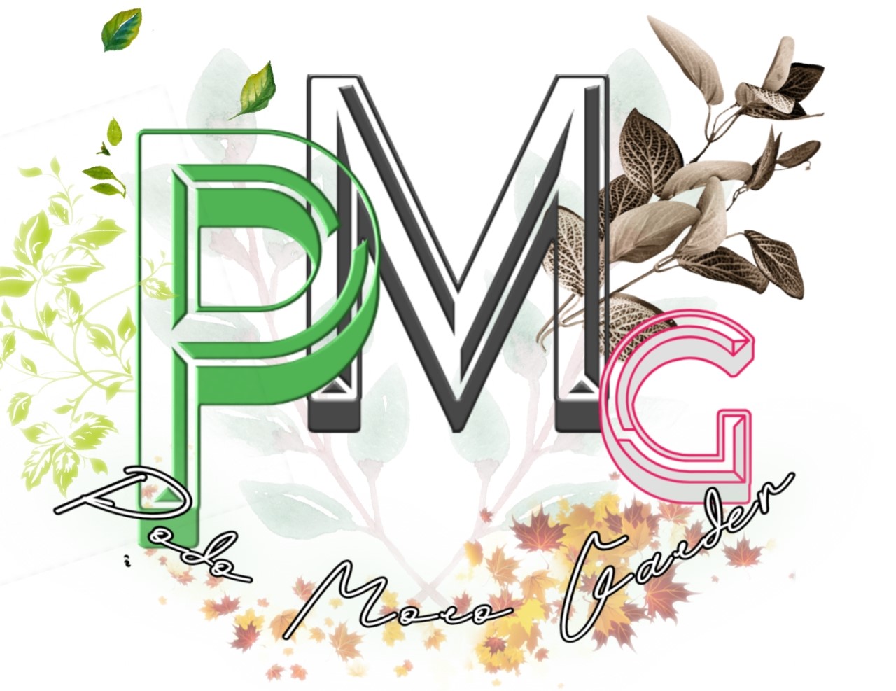 subscribe newsletter